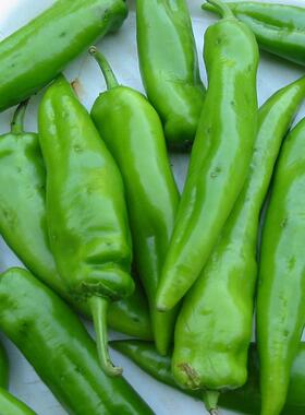 果脯盐渍菜扎孔机食品厂酱菜厂餐饮连锁商用圣女果尖椒黄瓜扎孔机