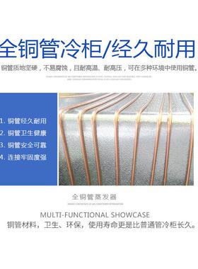 啤水柜冰箱商用冰柜柜柜养鱼酒吧大排档ZS-KK1饮料卧式酒冷藏展示