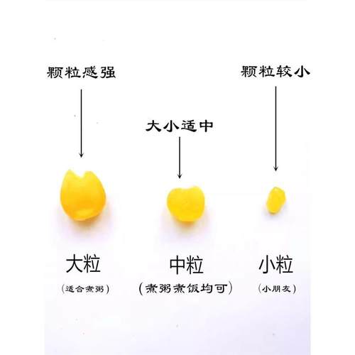 粮马稻家糯玉米碴2023新青稞玉米碴米饭伴侣黄金糯玉米大中小颗粒 - 图3