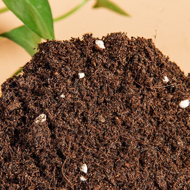 君子兰专用土养花有机土种花通用型种植土家用花土花盆松土盆栽土,淘宝优惠券,粉丝福利购,淘宝优惠卷