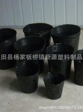营养钵供应16x14营养杯育苗杯花卉苗木育苗袋