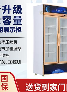 外贸出口冷藏展示柜立式双门铜管商用饮料冷饮蔬菜展示fridge