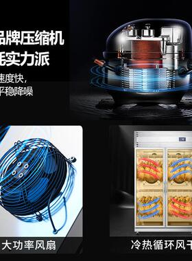 谷雅烧鸭烧鹅胚冷藏保鲜晾鸭柜商用酒店烧腊店智能风干挂鸭立式