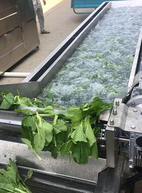 菠菜叶菜类清洗设备预制菜生产加工流水线草莓果蔬净菜涡流清洗机