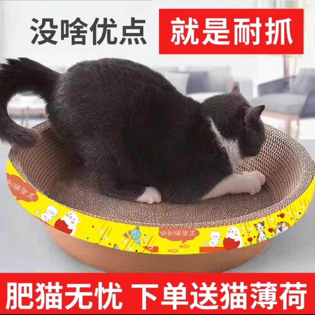 兔子磨爪板玩具兔兔专用磨爪睡觉垫解闷神器耐啃咬宠物侏儒兔用品,淘宝优惠券,粉丝福利购,淘宝优惠卷