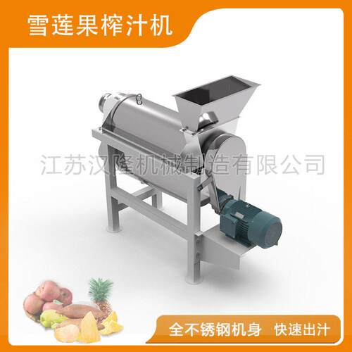 厂家销售LZ系列电动不锈钢小型商用雪莲果葡萄黄瓜荔枝螺旋榨汁机 - 图0
