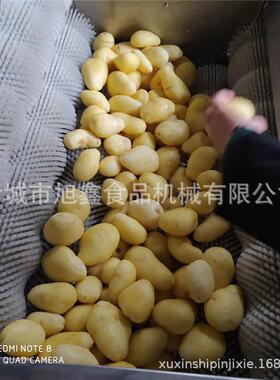 旭鑫现货自动毛辊去皮清洗机各类瓜果蔬菜清洗机去杂土清洗设备