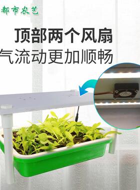 无土栽培水培蔬菜育幼苗种植盒培育种植盘芽苗种植盘生菜沙拉补光