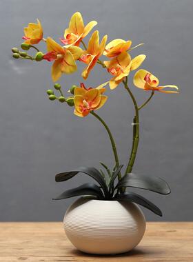 蝴蝶兰花艺套装摆件创意客厅餐桌桌面假花小盆栽装饰摆设黄色摆件