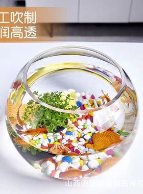 玻璃水办公室大号培植花盆花瓶