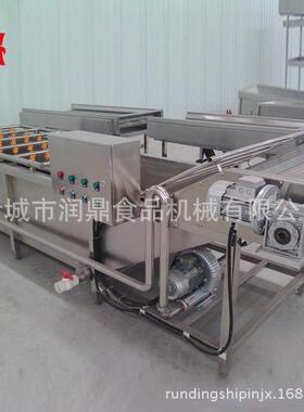 家直大型水果清厂洗机 全自动果蔬风清洗润鼎干设备销流水线