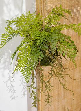 仿真蕨类垂吊假植物室内装饰壁挂假绿植墙小植物吊挂花卉摆件装饰