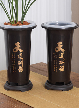 君子兰兰花兰花专用塑料花盆花瓶