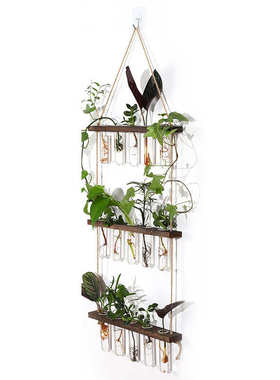 容器悬挂式孔木架层植水培玻璃装饰品绿花瓶35挂壁试管植物