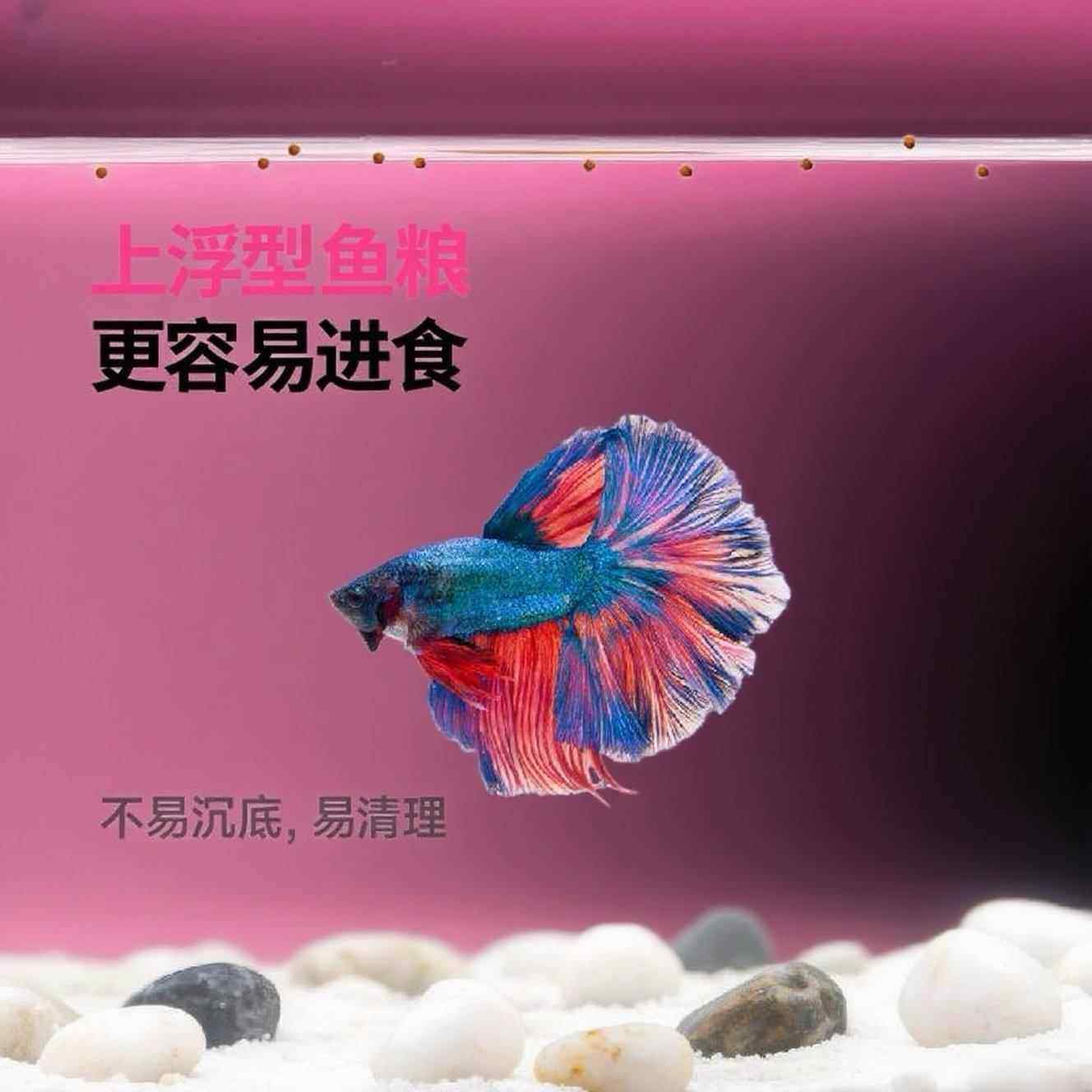 曼尾纱斗料小颗粒鱼饲食高蛋饲白鱼料鱼上浮孔514雀鱼小金鱼热带,淘宝优惠券,粉丝福利购,淘宝优惠卷