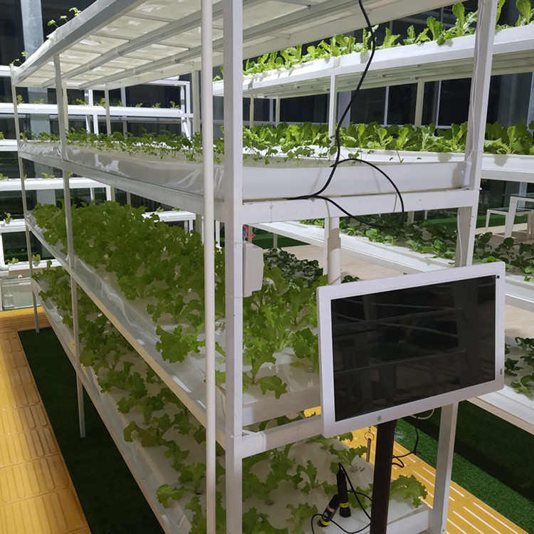 无土栽培水培水耕设备家庭智能种菜机温室大棚水床建设定制订做,淘宝优惠券,粉丝福利购,淘宝优惠卷