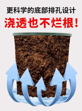 塑料花盆家用带托盘大号加仑盆轻奢高级感加厚耐用阳台盆栽绿萝
