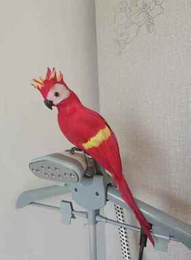 创意彷真鸟羽毛小鸟彩色鹦鹉假鸟摆件花园橱窗装饰道具工艺礼品摆
