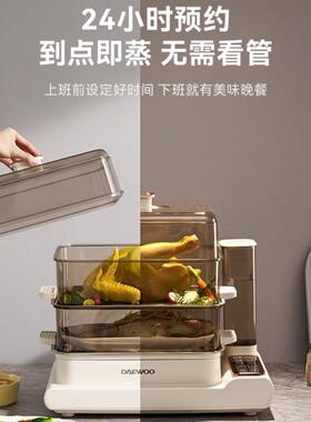 大宇鲜蒸锅用电蒸锅多功煮能DY-ZG03家蒸小型预约多层蒸炖一体锅