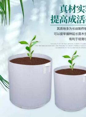 无纺布植树种植营养代替花盆花瓶