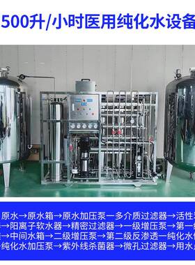 纯化水设备500升卫生级双级反渗透化妆品GMP设备无尘车间纯化水机