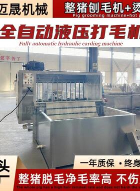 生猪刨毛机猪屠宰流水线四辊不锈钢羊烫毛打毛机液压猪打毛机