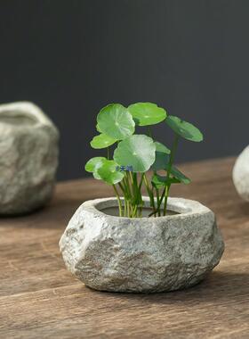 仿石铜钱草水培花盆陶瓷无孔金钱草水养植物盆客厅阳台小摆件
