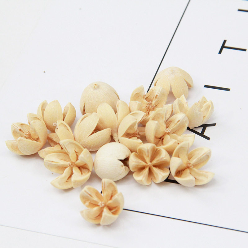 十字果开心果白果永生花干花植物散装花卉DIY无火香薰蜡烛花材,淘宝优惠券,粉丝福利购,淘宝优惠卷