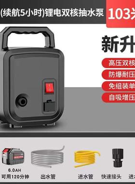 便携式充电式抽水泵浇菜神器园林花草浇水新型农用浇地家用抽水机