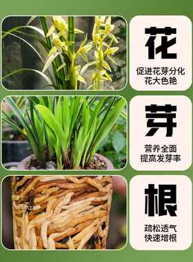 兰花专用养植土透气石斛松树皮养蝴蝶兰君子兰专用种植料营养花土