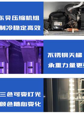网红冷藏展示柜酒吧KTV酒水饮料冷藏柜风冷冰箱三色灯光保鲜柜