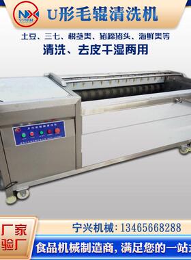 U型毛辊清洗机 材海鲜 莲藕 蔬菜 水果产品的清洗