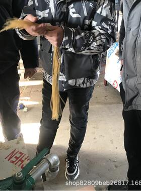 供应杂粮面条机 玉米钢丝面机 冷面专用机设备