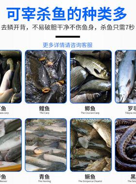 旭众多功能开背去鳞杀鱼机餐饮烤鱼店商用剖鱼机不锈钢刮鳞宰鱼机