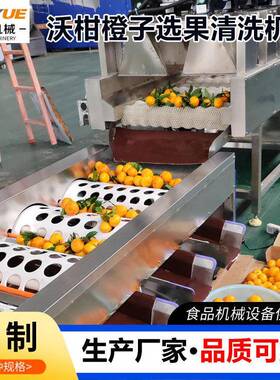 厂家直供黄桃清洗机全自动水果清洗打蜡机分级机橘子沃柑洗果机