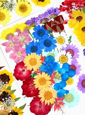植物押花包 干花压花材料包 真花树叶标本画 书签滴胶干花杯垫