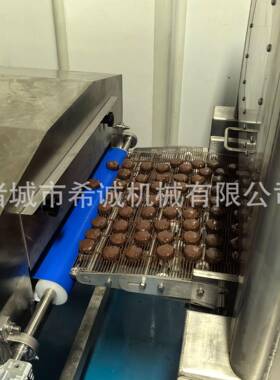 冻干草莓表面涂巧克力生巧产线燕麦饼涂干克力层量棒希诚机械涂能