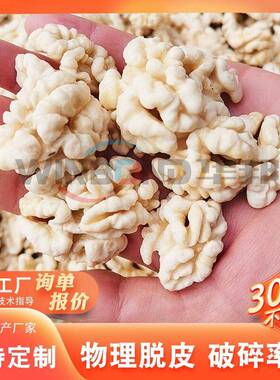 巴旦木生核桃仁去皮机 全自动滚筒式坚果榛子脱衣机 核桃加工设备