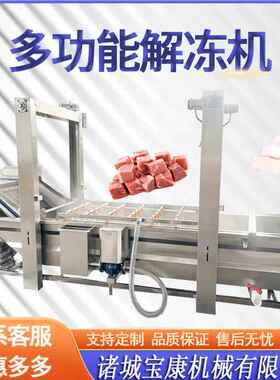 冻冻肉化冻9儿节能设备连续式鸡肝解流水 线猪肉冻盘 海鲜解冻机