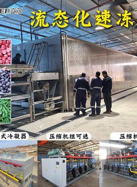 流态床速冻机隧道式果蔬类氟利昂IQF单冻设备 芭乐流态化速冻设备