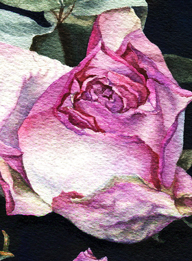 范兆辉【人间草木—花①】限量签章版画花卉装饰画带装裱45*60cm