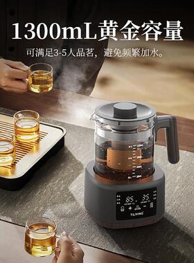 钛立维煮茶壶2026新款煮茶壶办公室小型玻璃高端煮茶器