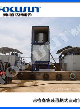 弗格森供应集装箱式全自动储冰库FIS-23WH，集成出冰输送系统