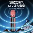 听声者唱歌麦克风话筒音响一体家用蓝牙电视家庭ktv儿童无线 线K