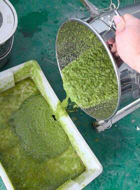 果蔬打浆机商用水果菠菜打浆机优惠大容量胡萝卜破壁机生姜打浆机