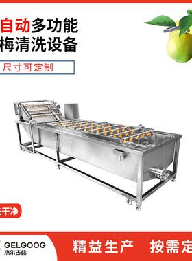 全自动清瓜果HJL-QX设备 酸梅梅 子气洗泡清洗机械鲜果洗机 青梅
