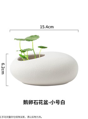 水培花盆叶莲铜钱金钱水仙花瓶