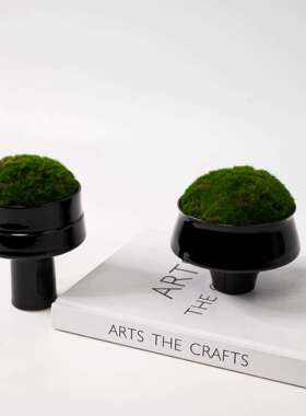 现代新中式永生仿真苔藓绿植盆景黑色小杯型创意摆件桌面样板间