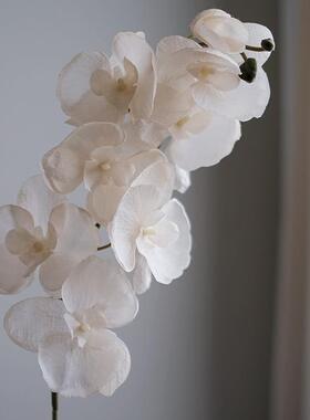 白色蝴蝶兰仿真花轻奢高端客厅花艺插花绢花蛋糕装饰高级感摆件