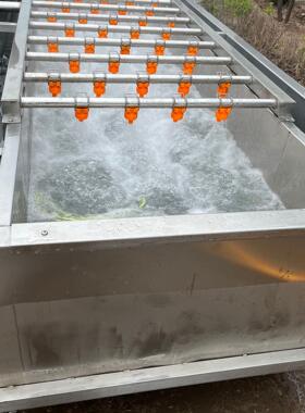 商用蔬菜气泡清洗机大型果蔬去泥鼓泡清洗设备海带豆芽清洗设备